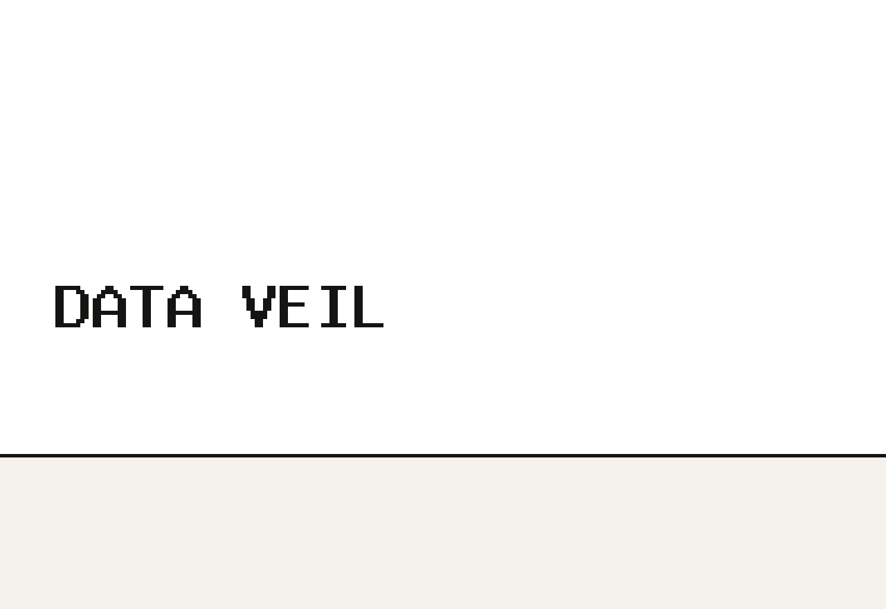 Screenshot of Data Veil